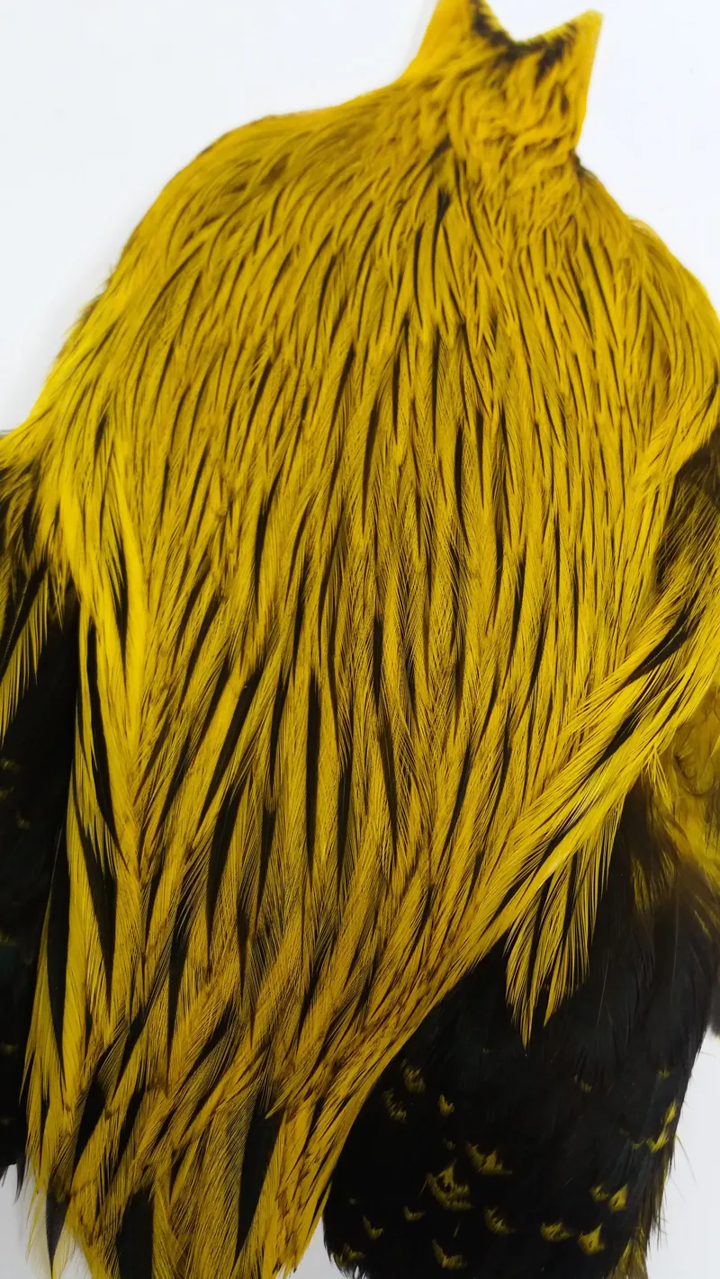The Lakeland Brahma Rooster Cape in Silver Badger Dyed Yellow  from Whiting Farms-7